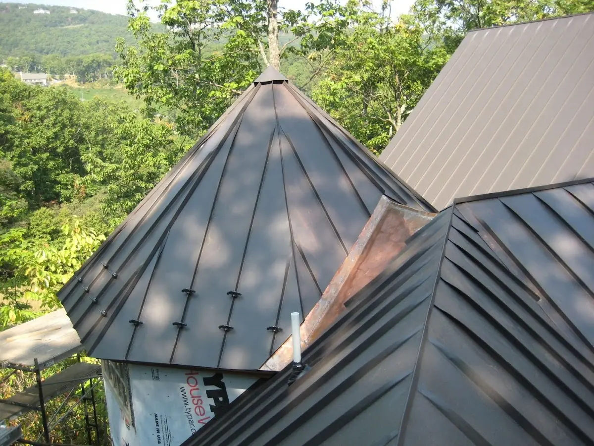 Professional Gutter Cleaning by Craftsman Roofing in Cordova Meadows